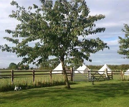 Skipbridge Farm Shepherds Huts Campground Green Hammerton エクステリア 写真