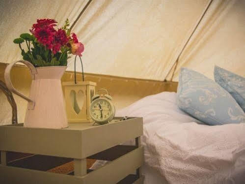 Skipbridge Farm Shepherds Huts Campground Green Hammerton エクステリア 写真